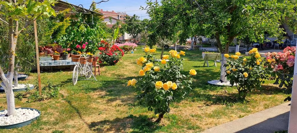 Berfin Pansiyon — 2