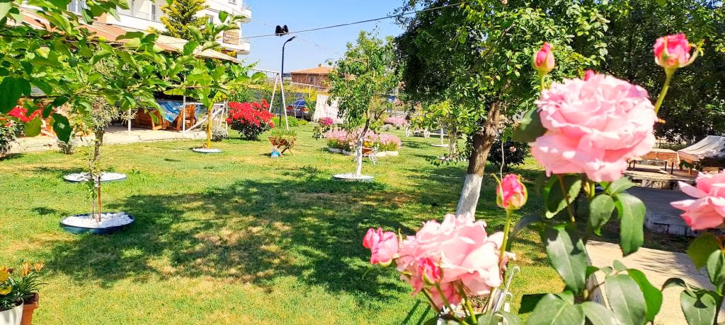Berfin Pansiyon — 3