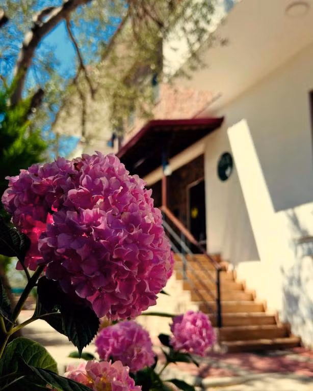 Beyaz Konak Güre — 2