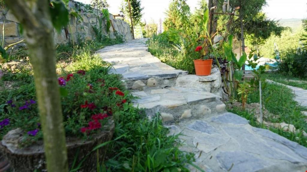 Castle Nolana Hotel & Horse Club Ağva — 5