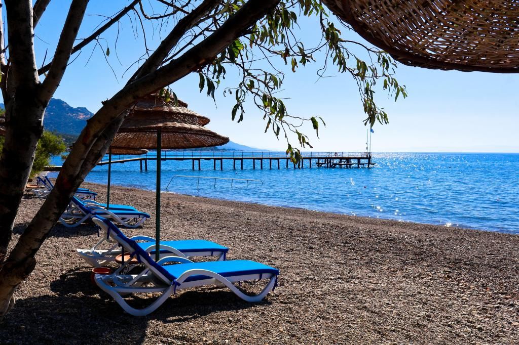 Calidus Hotel( Yetişkin Oteli 10+) — 5