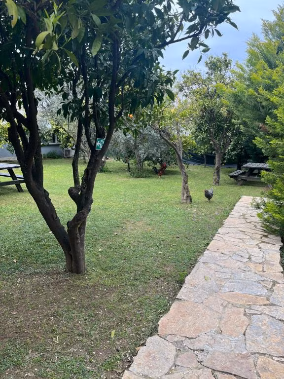 Can Otel Urla — 3
