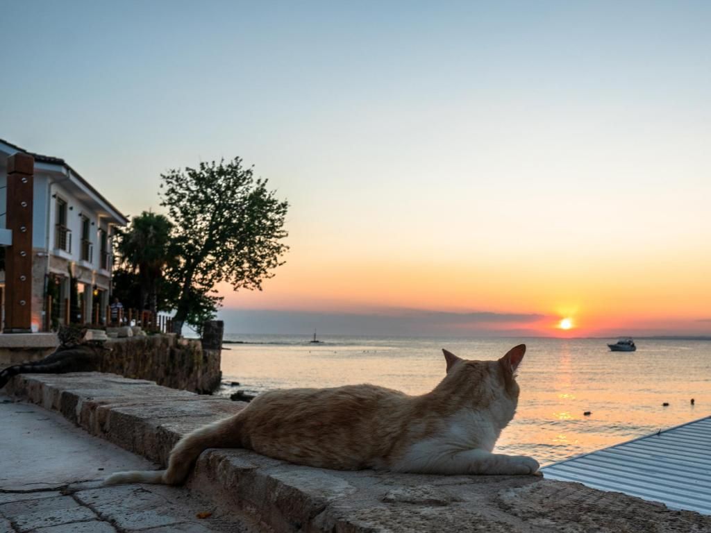 Carpe Diem Boutique Hotel - Adults Only — 3