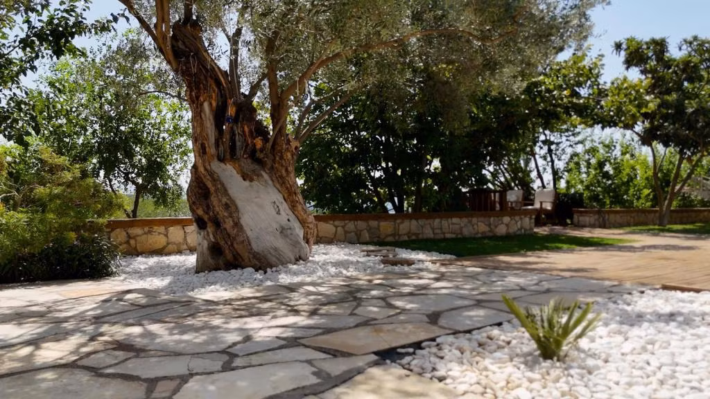 Casa Del Olivia Seferihisar