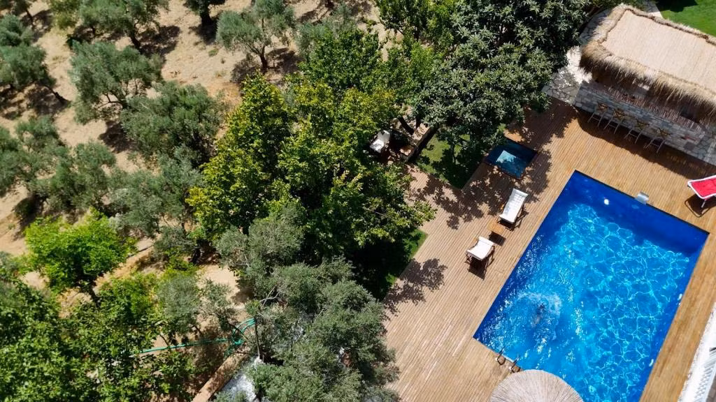 Casa Del Olivia Seferihisar — 3