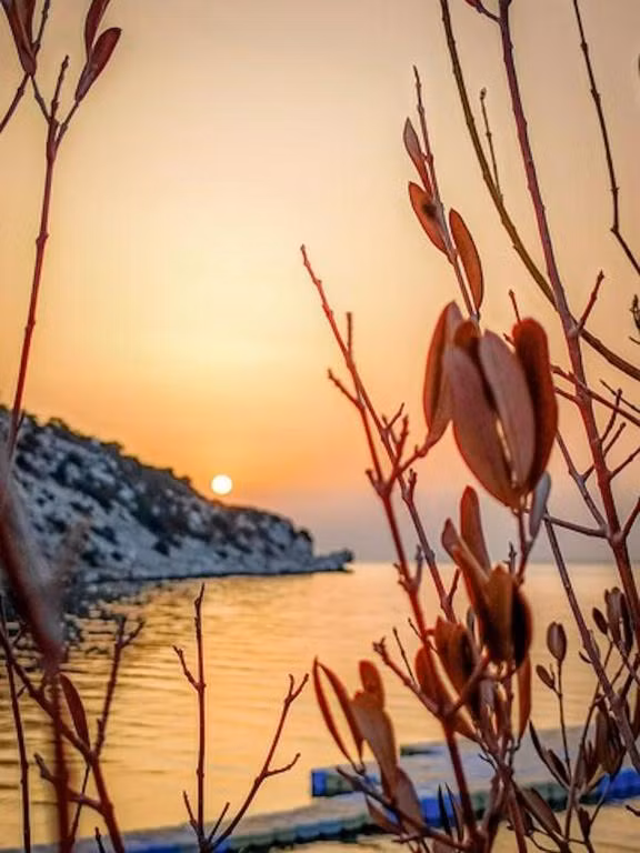 Casa Mimosa Hotel Karaburun — 7
