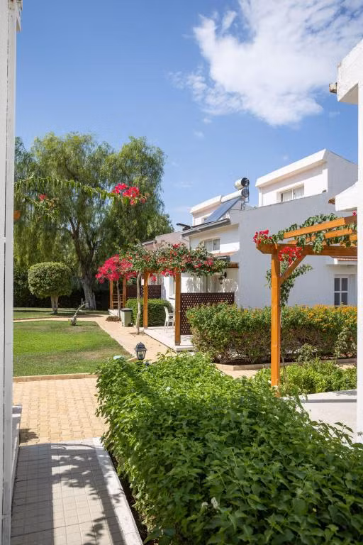 Citrus Tree Gardens — 4