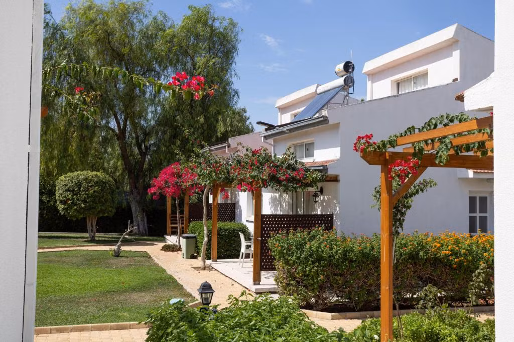 Citrus Tree Gardens — 5