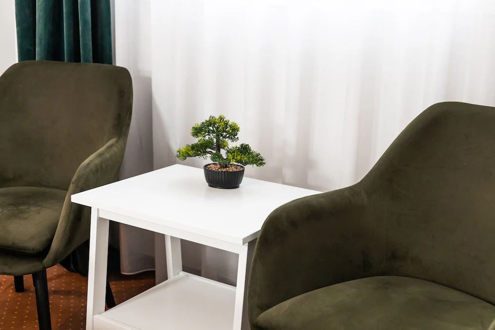 City Plaza Apartments & Rooms — 6