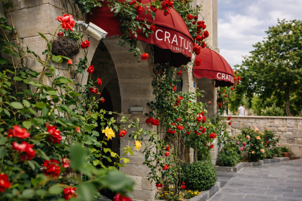 Cratus Stone Palace — 3