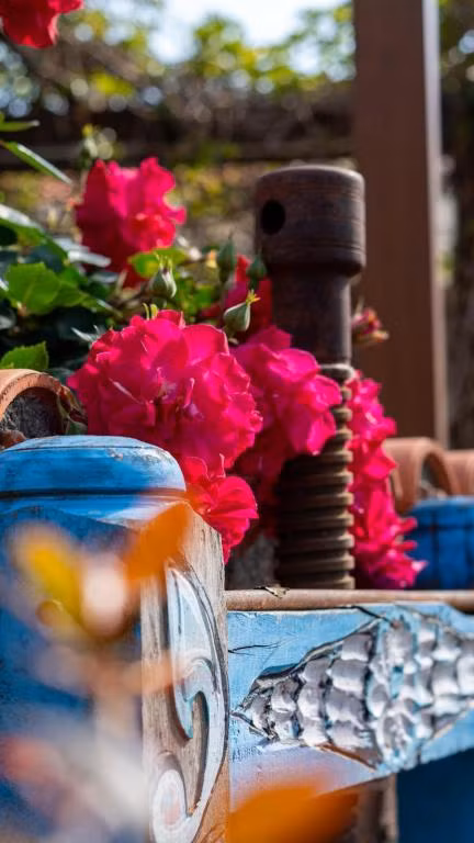 Cunda Fatma Hanım Konağı(15 Adult only) — 10