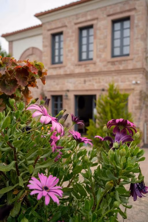 Cunda Fora Hotel — 3