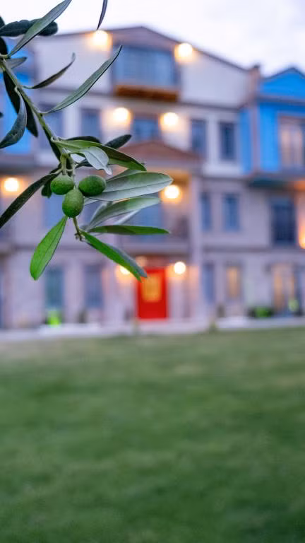Cunda Nisa Otel — 5