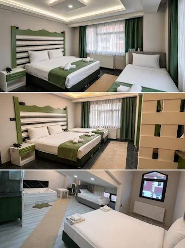 David Moser 1878 Otel — 6