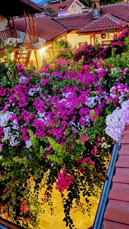 Dalyan Konak Su Otel