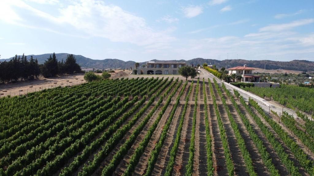Datça Vineyard Guesthouse (+14 Adult Only) — 8