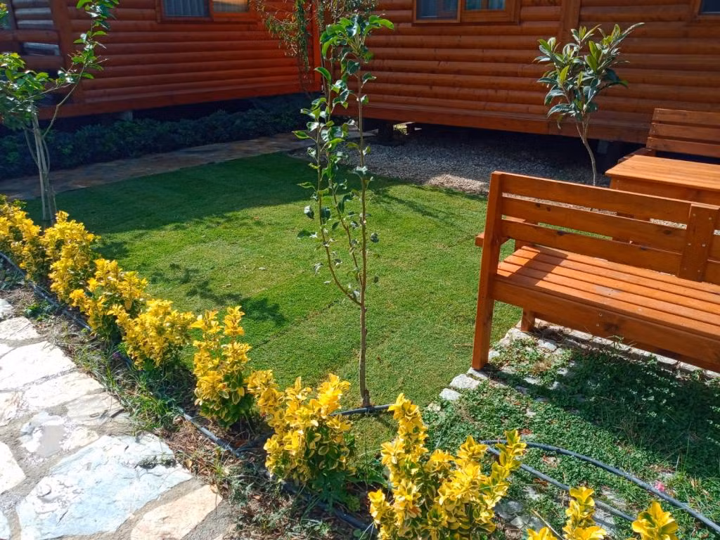 Defne Wood Home — 3