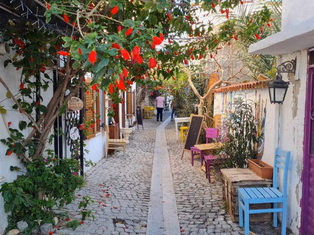 Deniz Yıldızı Pansiyon Sığacık — 3