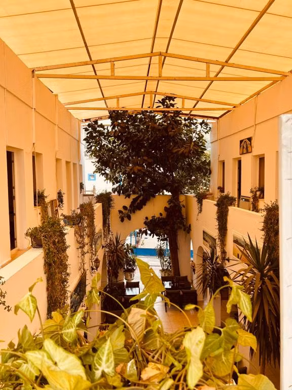 Devran Pansiyon Bodrum — 10