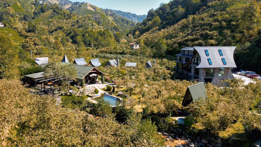 Doğadakal — 2