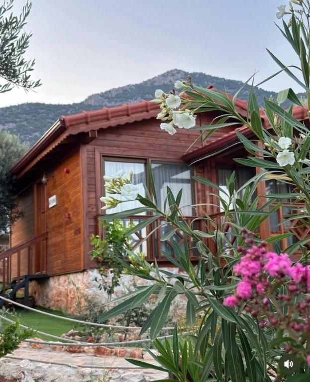 Doğanın Ruhu Bungalow Pansiyon — 8