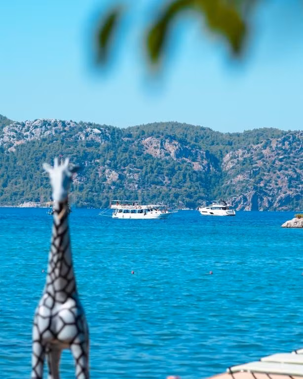 Dut Selimiye — 3