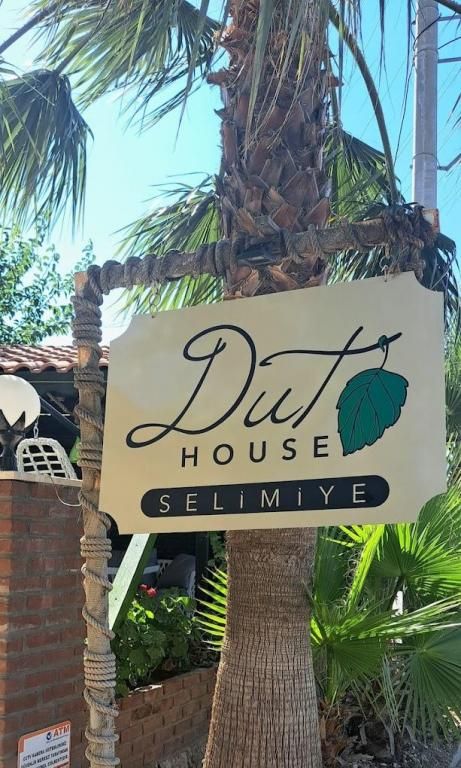 Dut Selimiye — 4