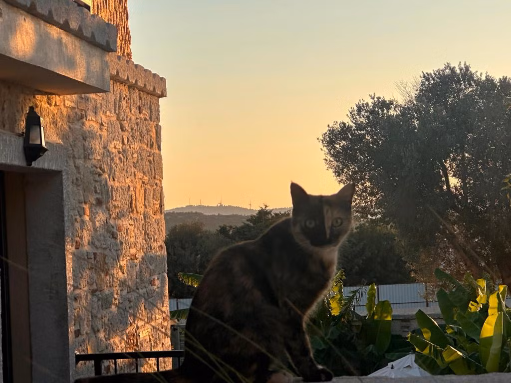 Elia Hotel Çeşme — 2