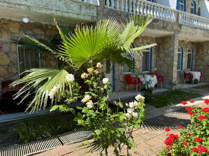 Erdek Talia Beach Otel — 5
