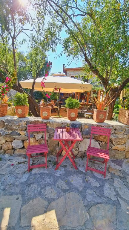 Feli Eski Datça (Adult Only +9) — 7