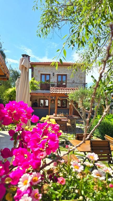 Feli Eski Datça (Adult Only +9) — 5