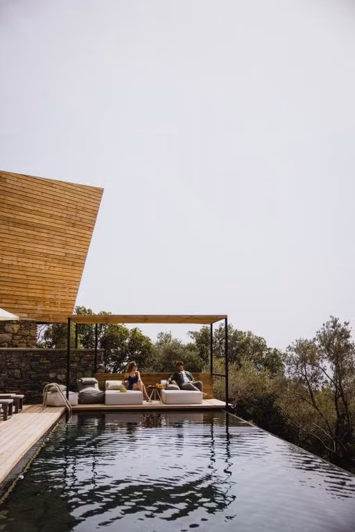 Five Olive Dream Trip — 4