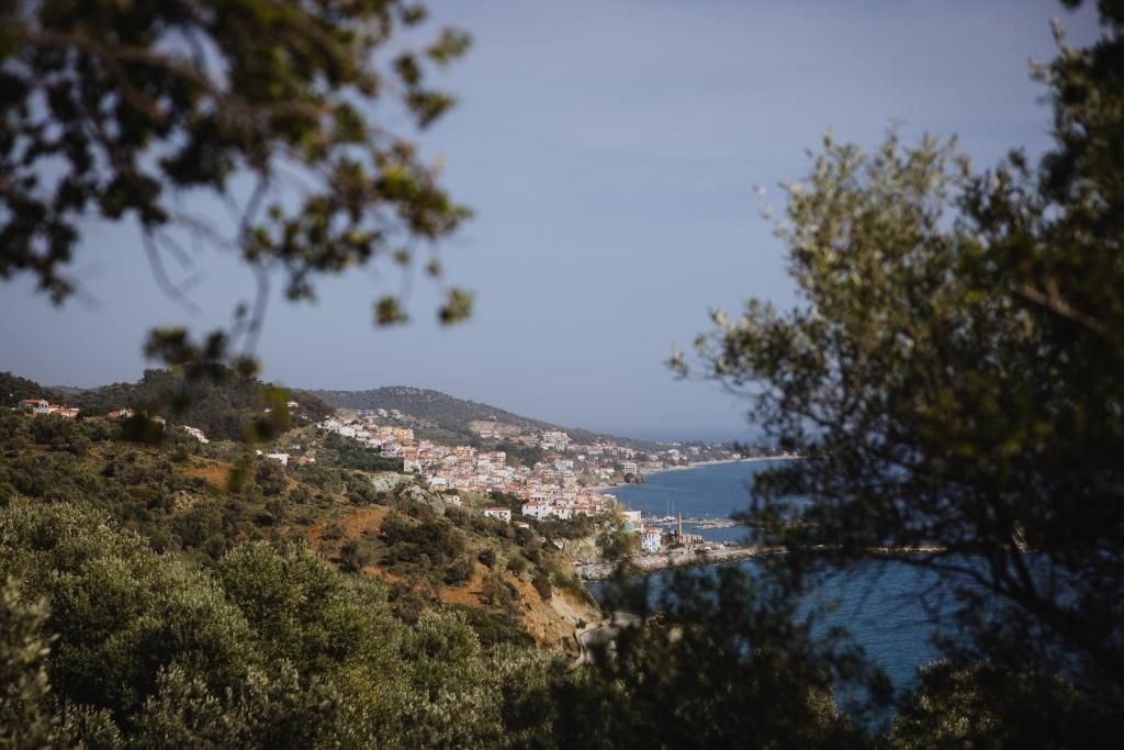 Five Olive Dream Trip — 8