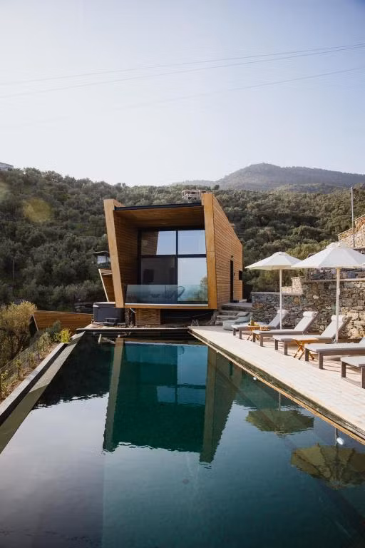 Five Olive Dream Trip — 3