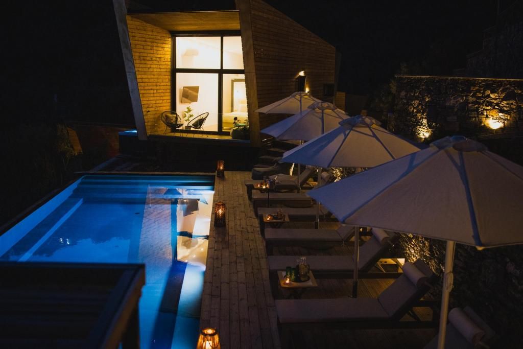 Five Olive Dream Trip