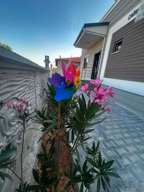 Gazlıgöl Çağrı Termal Villa — 3
