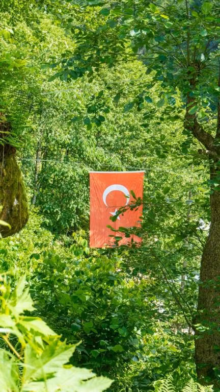 Haşimoğlu Otel & Spa — 5