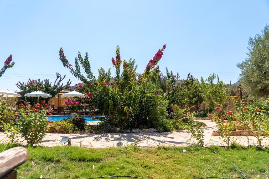 Habesa Bungalow — 2