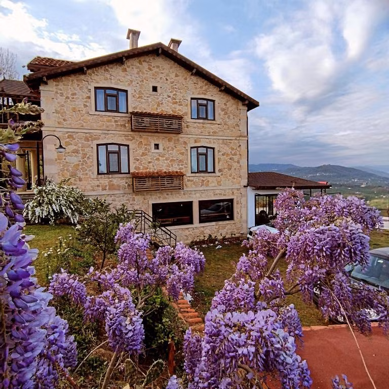 Hayat Oksijen Resort — 7