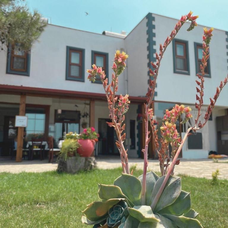 Herrera Otel & Tiny House