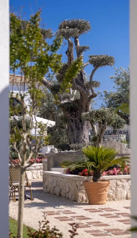 Hotel Jirasol Çeşme — 6