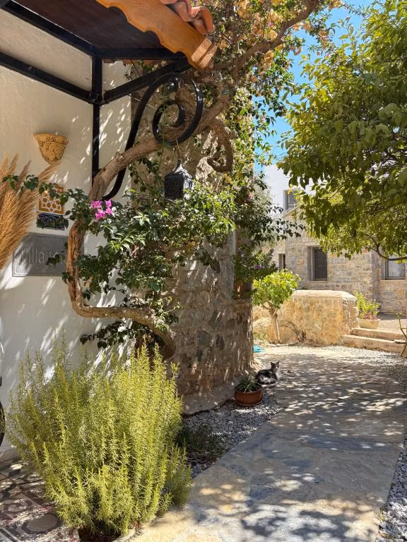 Hotel Villa Tokur — 3