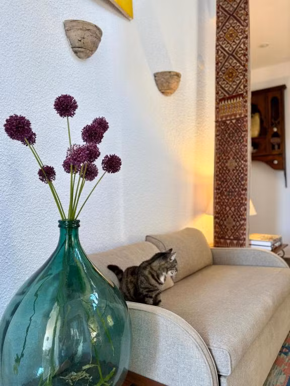Hotel Villa Tokur — 5