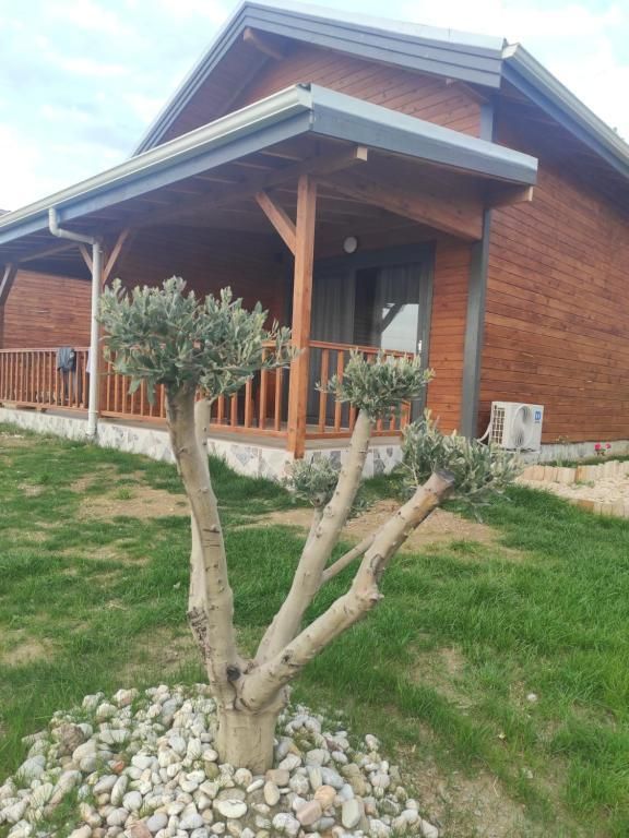 Koru Wooden House — 4