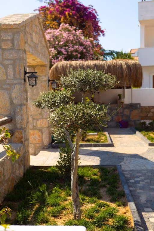 Kilya Datça — 6
