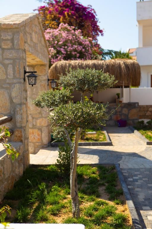 Kilya Datça — 8
