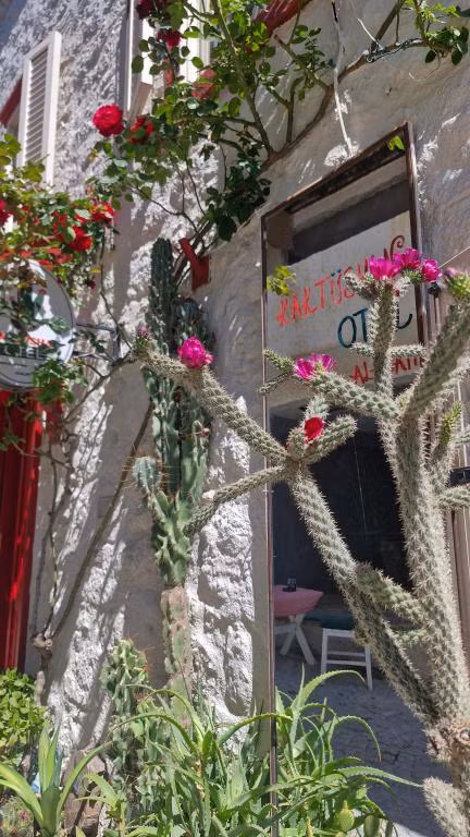 Kaktüshan Otel Alaçatı — 4