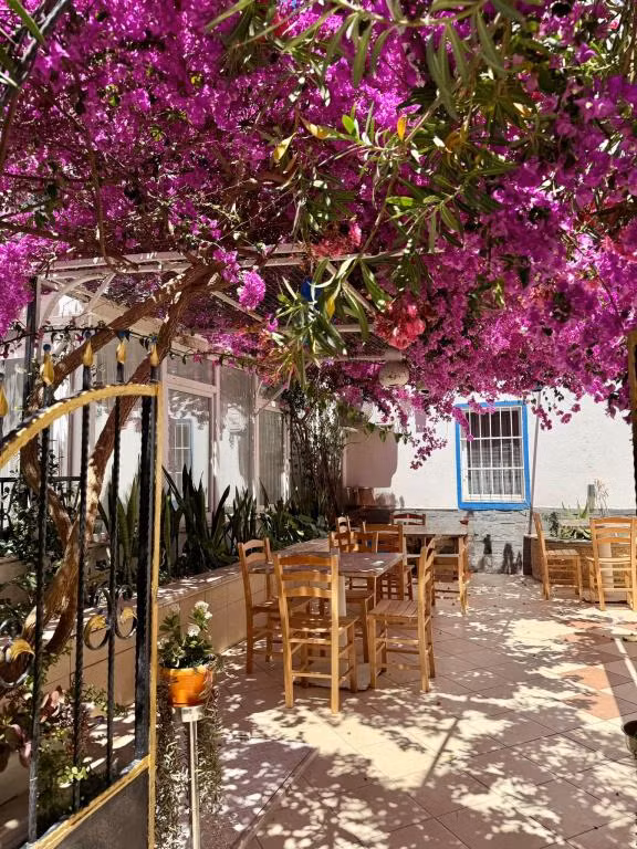Kale Otel Bodrum — 2