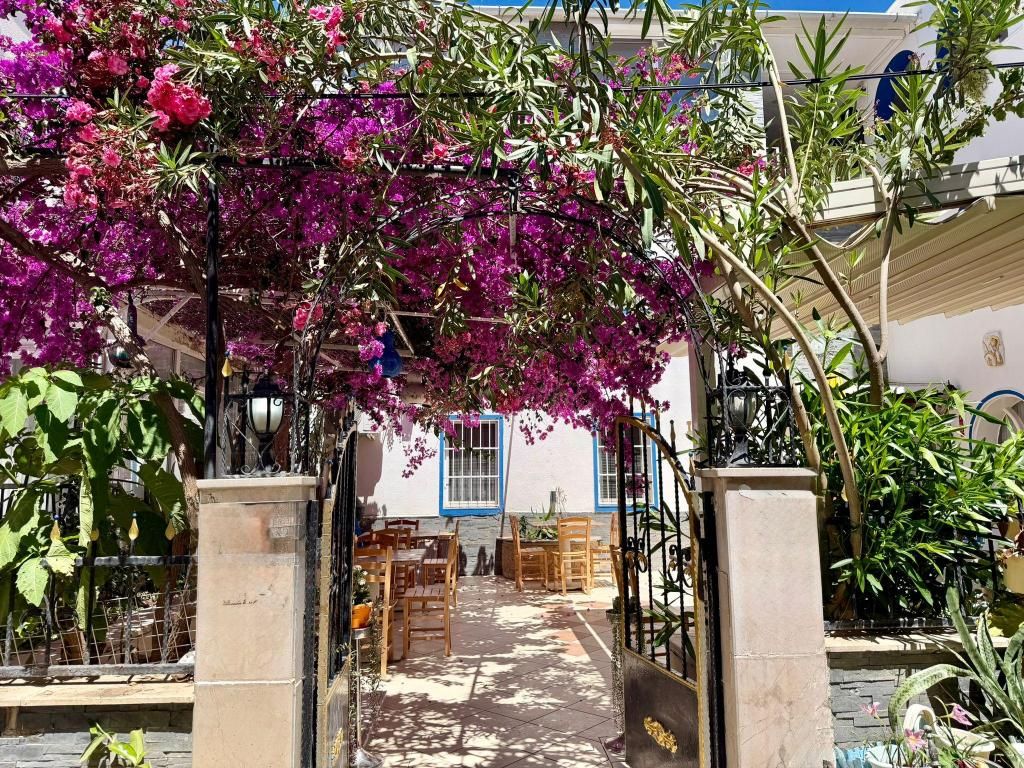 Kale Otel Bodrum — 3