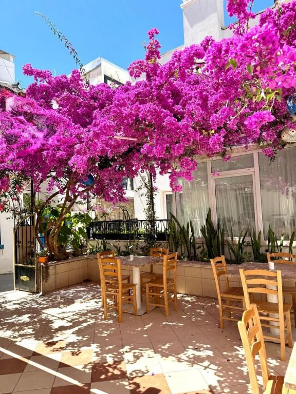 Kale Otel Bodrum — 4